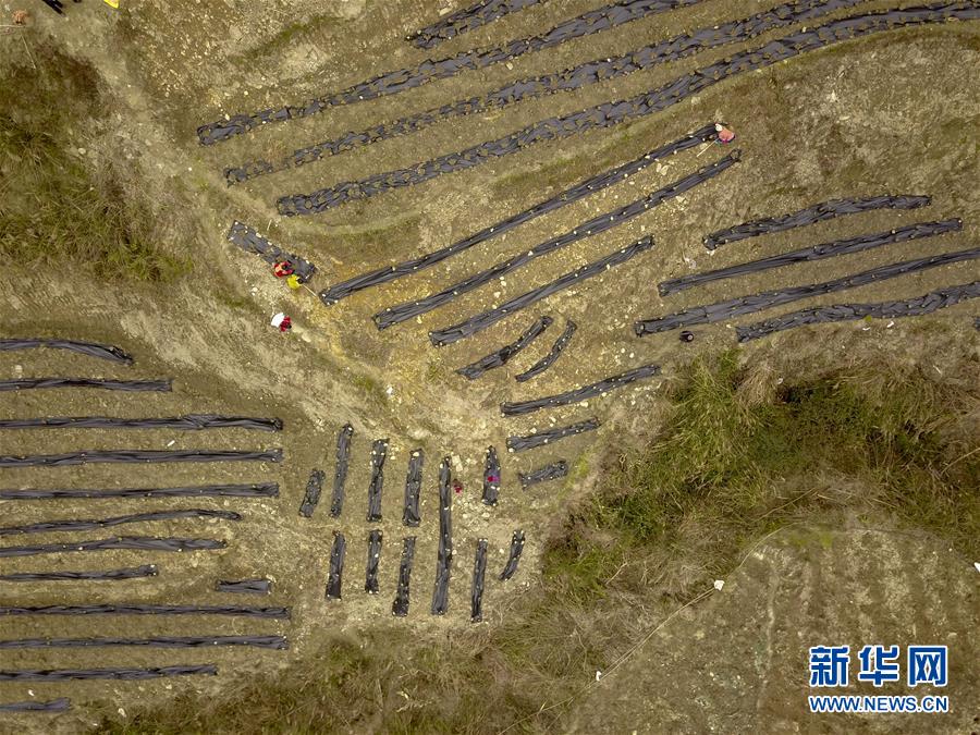 (新春走基层)(15)重庆黔江:土家三老汉 一台“扶贫戏”