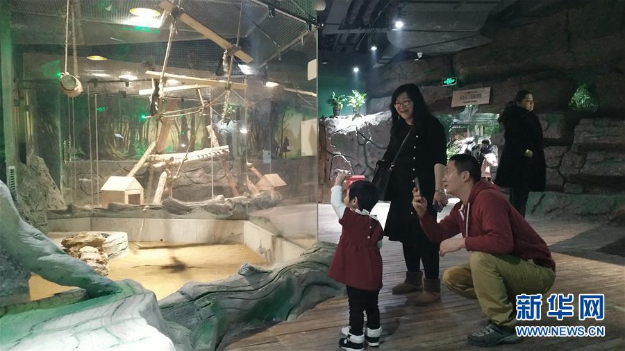 (新春走基层·图文互动)(1)新疆“新年俗”:动物王国学知识 冰雪世界强身体