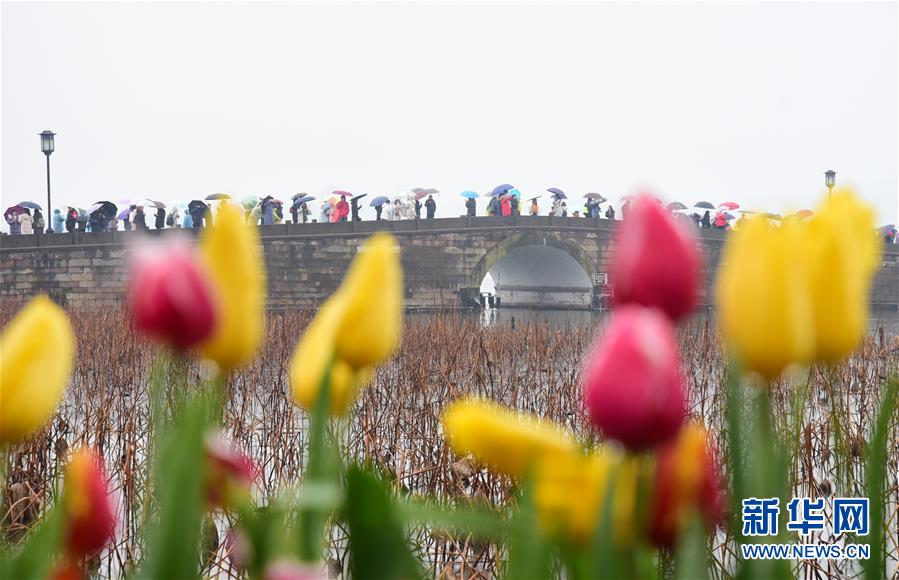 #（社会）（4）2019年春节假期全国旅游接待总人数4.15亿人次