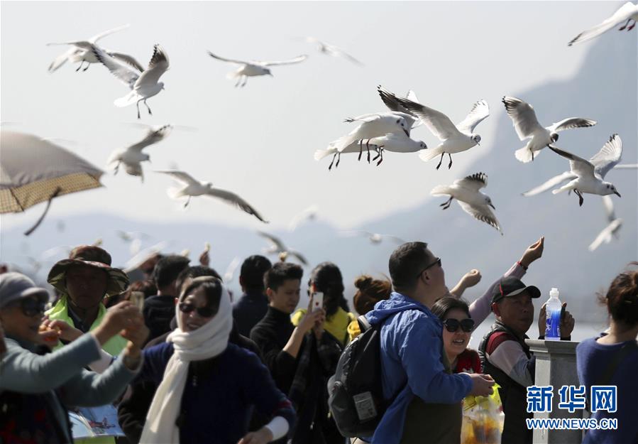 #（社会）（7）2019年春节假期全国旅游接待总人数4.15亿人次