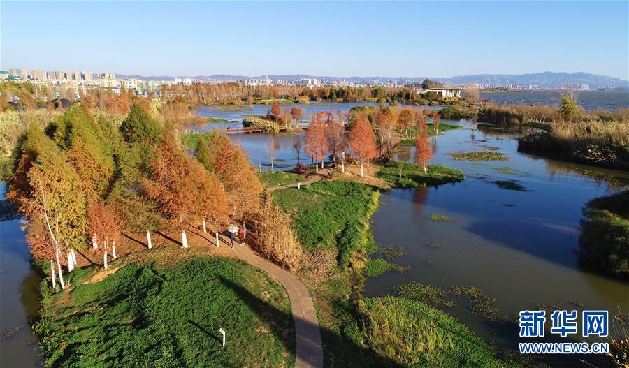 (在习近平新时代中国特色社会主义思想指引下——新时代新作为新篇章·图文互动)(5)高原春来早 云岭开新篇