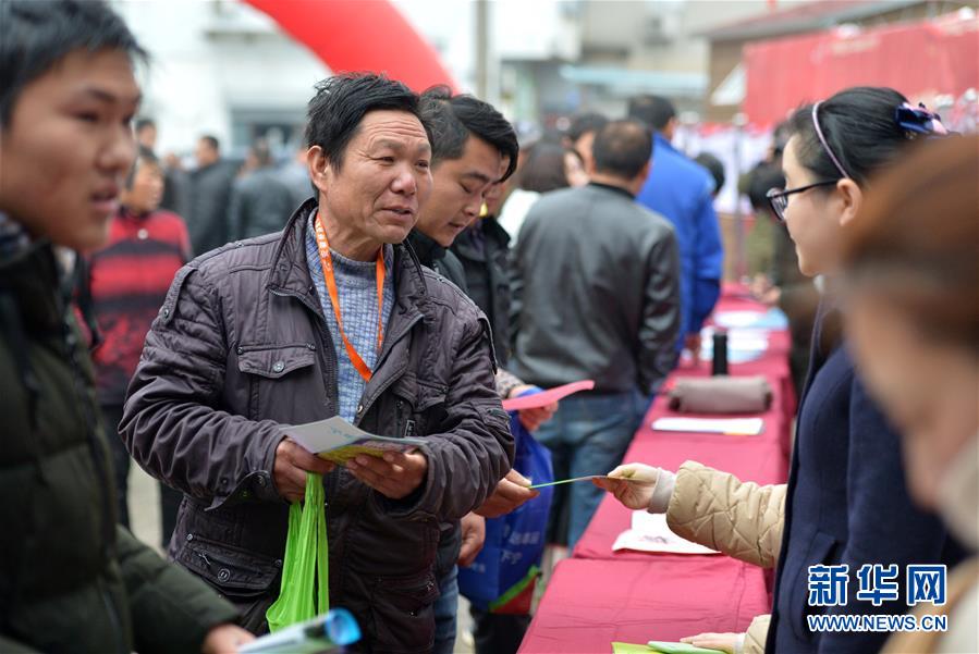 （社会）（3）合肥：公益招聘助就业