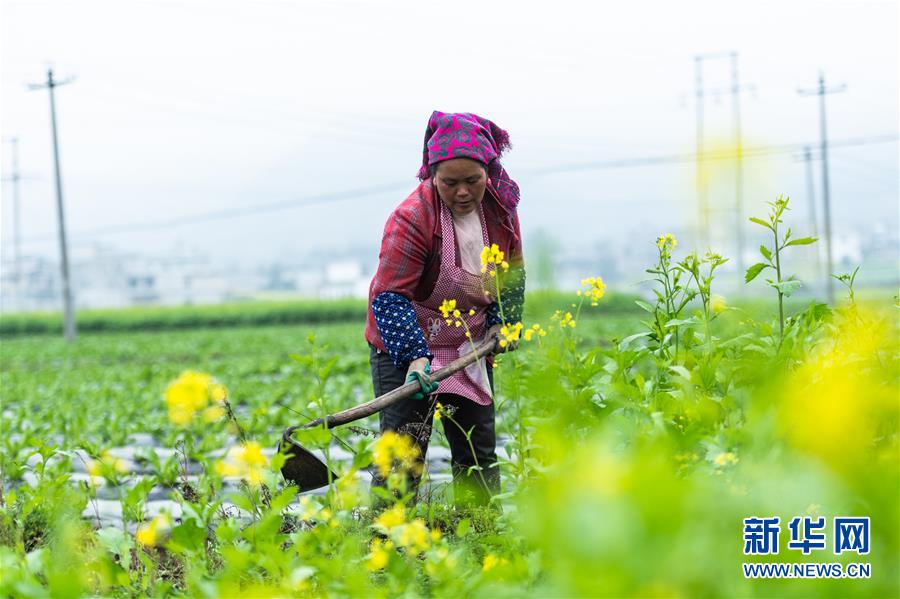 (社会)(1)贵州启动脱贫攻坚“春季攻势”