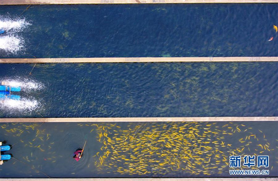 （图片故事）（9）娘子关下的脱贫&ldquo;娘子军&rdquo;