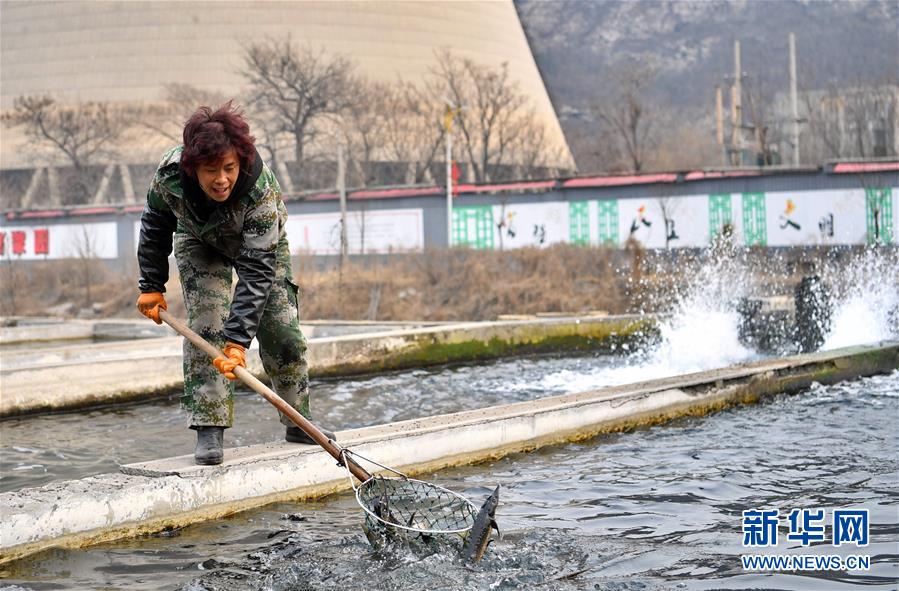 （图片故事）（3）娘子关下的脱贫&ldquo;娘子军&rdquo;