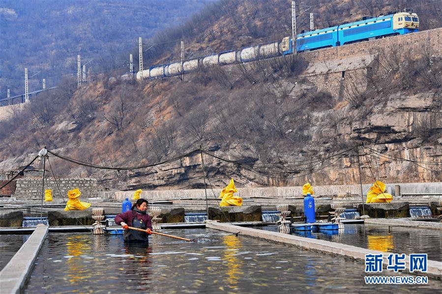 （图片故事）（2）娘子关下的脱贫&ldquo;娘子军&rdquo;