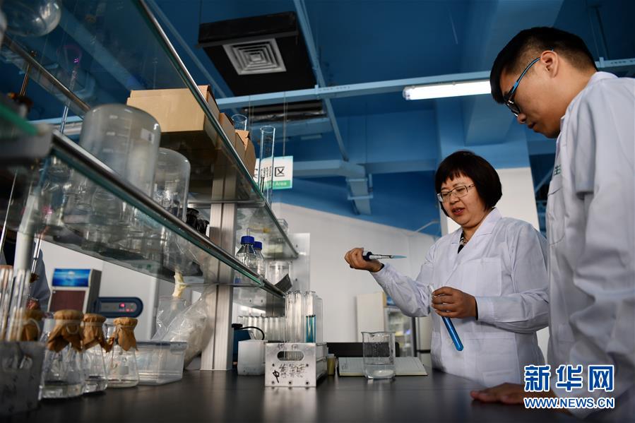 （新华全媒头条&middot;两会特别报道&middot;图文互动）（2）打造高质量发展的强劲引擎&mdash;&mdash;从区域协调发展看奋进中国的发展新空间