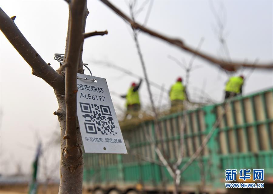 （新华全媒头条&middot;两会特别报道&middot;图文互动）（10）打造高质量发展的强劲引擎&mdash;&mdash;从区域协调发展看奋进中国的发展新空间