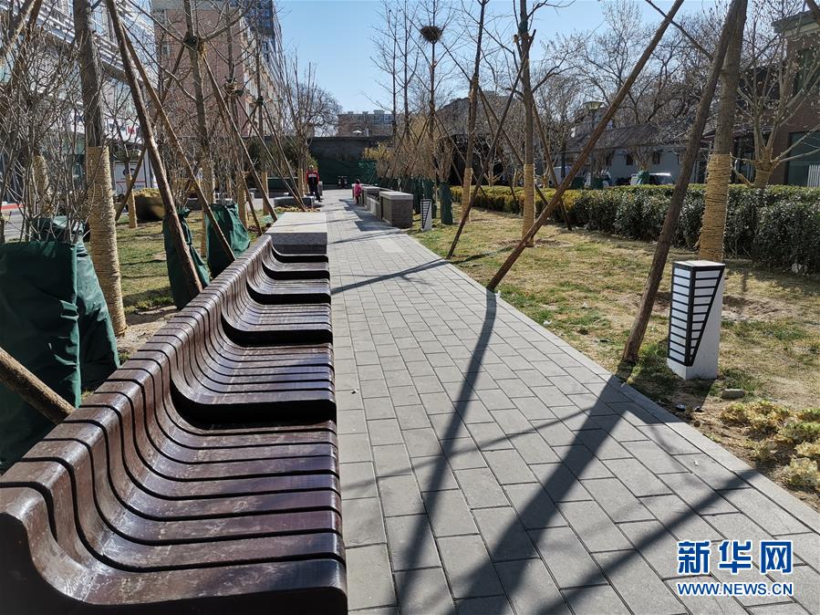 （图文互动）（4）沉甸甸的“绿色获得感”——植树节探访北京家门口的小公园