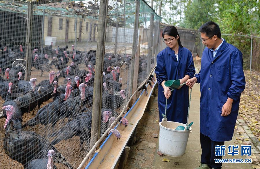 (新华全媒头条·两会特别报道·图文互动)(4)凝聚不懈奋斗的磅礴力量——从全国两会看奋进中国的奋斗姿态