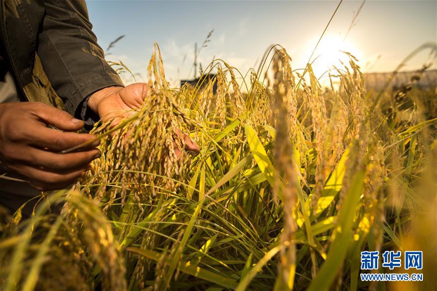（新华全媒头条&middot;图文互动）（5）上下同心再出发&mdash;&mdash;习近平总书记同出席2019年全国两会人大代表、政协委员共商国是纪实
