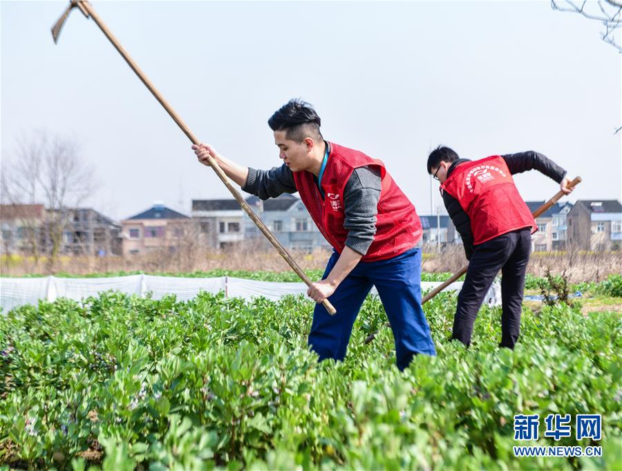 （社会）（3）浙江慈溪：爱心志愿者春季耕种&ldquo;爱心田&rdquo;