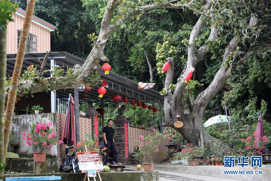 （社会）（3）海南琼海：因&ldquo;村&rdquo;制宜 推动美丽乡村建设&ldquo;百花齐放&rdquo;