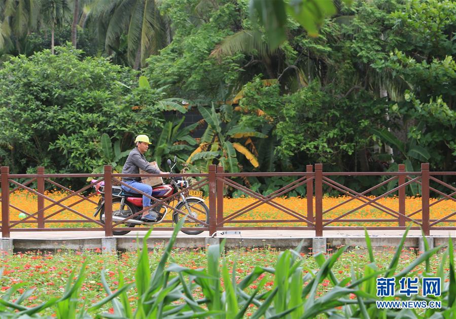 （社会）（5）海南琼海：因&ldquo;村&rdquo;制宜 推动美丽乡村建设&ldquo;百花齐放&rdquo;
