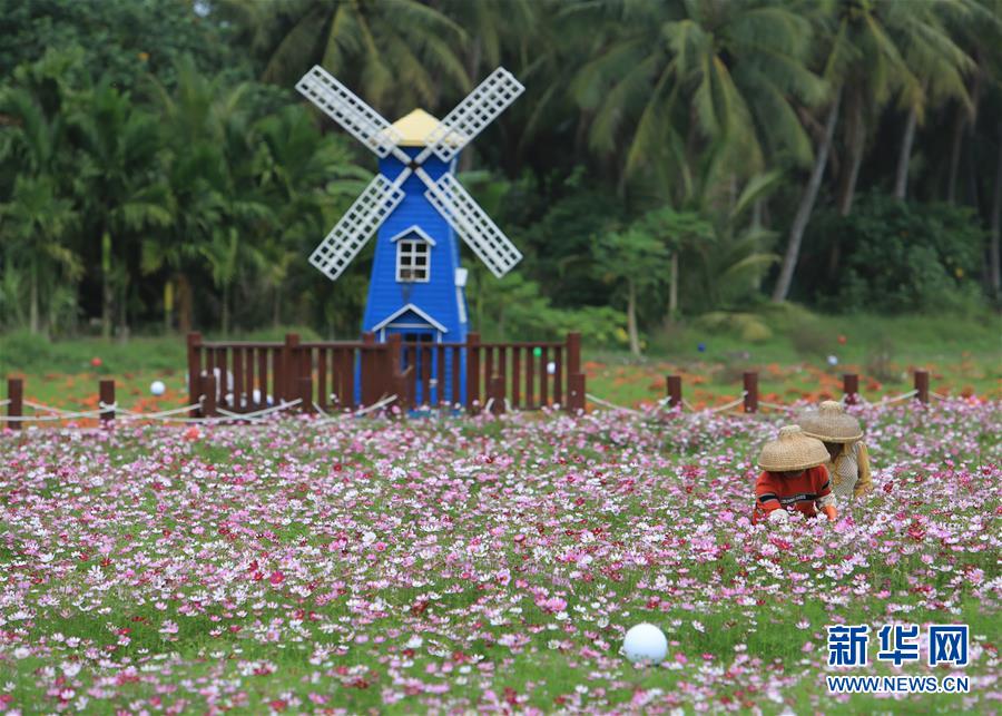 （社会）（6）海南琼海：因&ldquo;村&rdquo;制宜 推动美丽乡村建设&ldquo;百花齐放&rdquo;