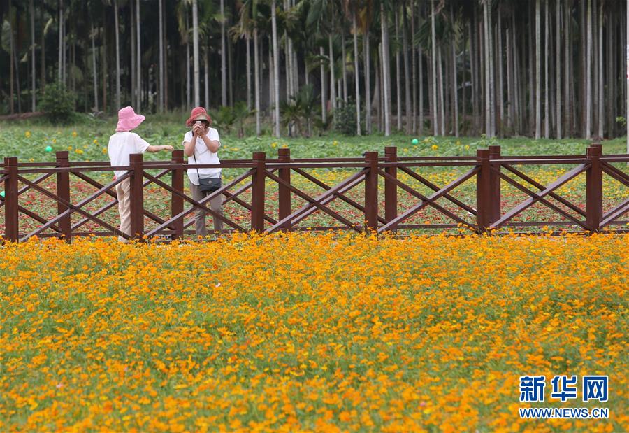 （社会）（7）海南琼海：因&ldquo;村&rdquo;制宜 推动美丽乡村建设&ldquo;百花齐放&rdquo;