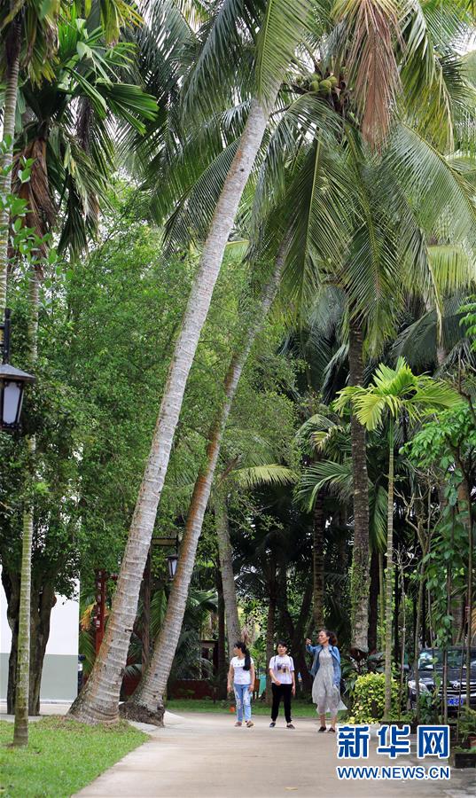 （社会）（9）海南琼海：因&ldquo;村&rdquo;制宜 推动美丽乡村建设&ldquo;百花齐放&rdquo;