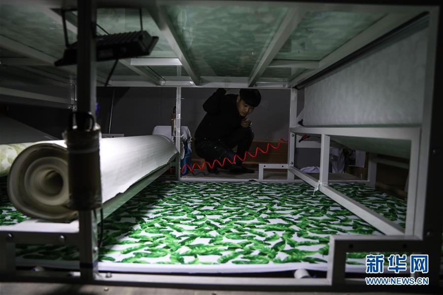 （新华全媒头条&middot;图文互动）（6）从千年古城到国际泳装之都&mdash;&mdash;看辽宁葫芦岛如何&ldquo;七彩转身&rdquo;