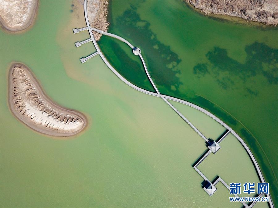 （镜观中国&middot;新华社国内新闻照片一周精选）（12）黄河口湿地风光