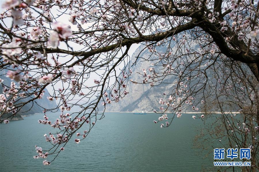 （镜观中国&middot;新华社国内新闻照片一周精选）（16）春回三峡