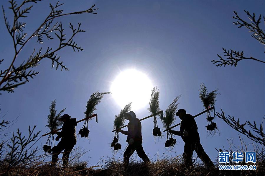 （镜观中国&middot;新华社国内新闻照片一周精选）（21）植树节