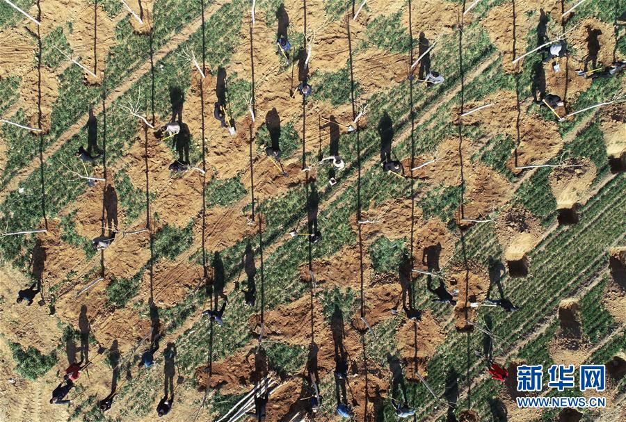 （镜观中国&middot;新华社国内新闻照片一周精选）（22）春林添新绿