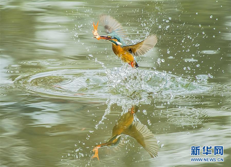 （镜观中国&middot;新华社国内新闻照片一周精选）（27）奋力一搏