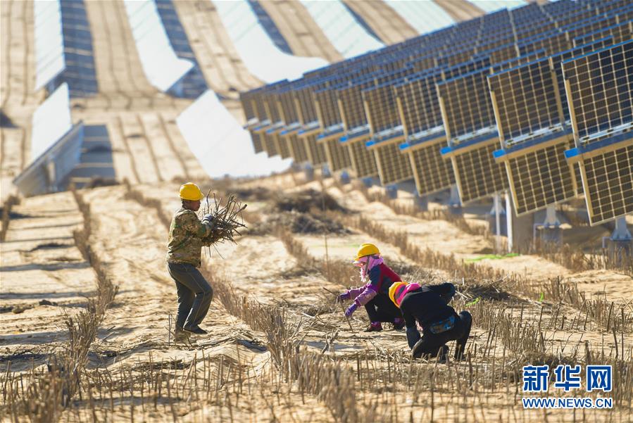 （镜观中国&middot;新华社国内新闻照片一周精选）（28）打沙障