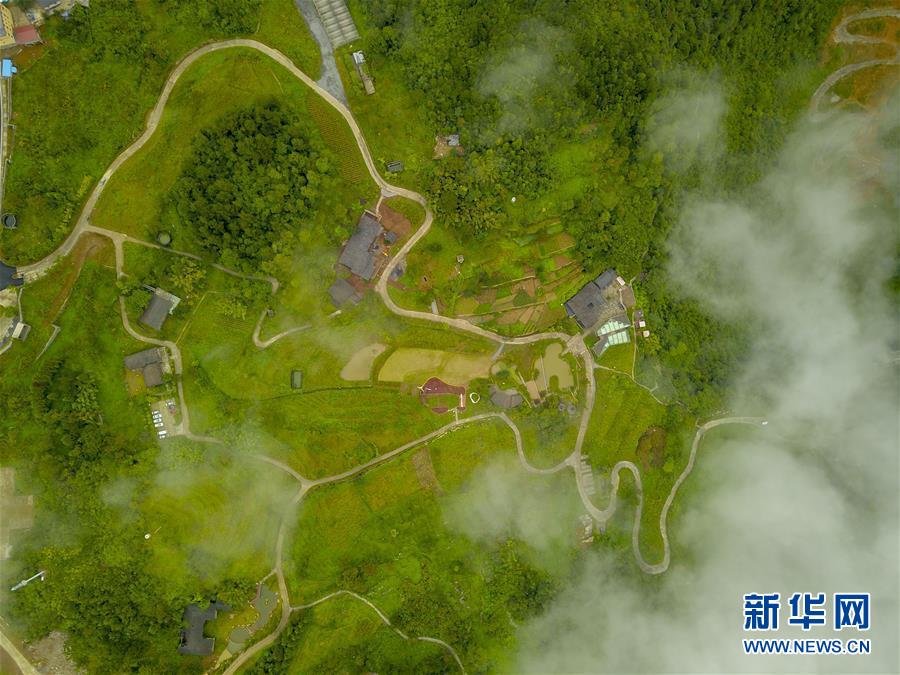 (图文互动)(2)念好“山字经” 吃好“生态饭”——重庆武隆乡村振兴观察