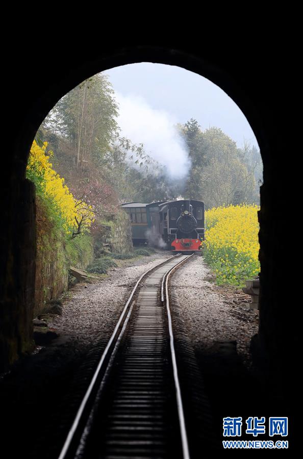 （春季美丽生态）（4）四川犍为：&ldquo;开往春天&rdquo;的小火车