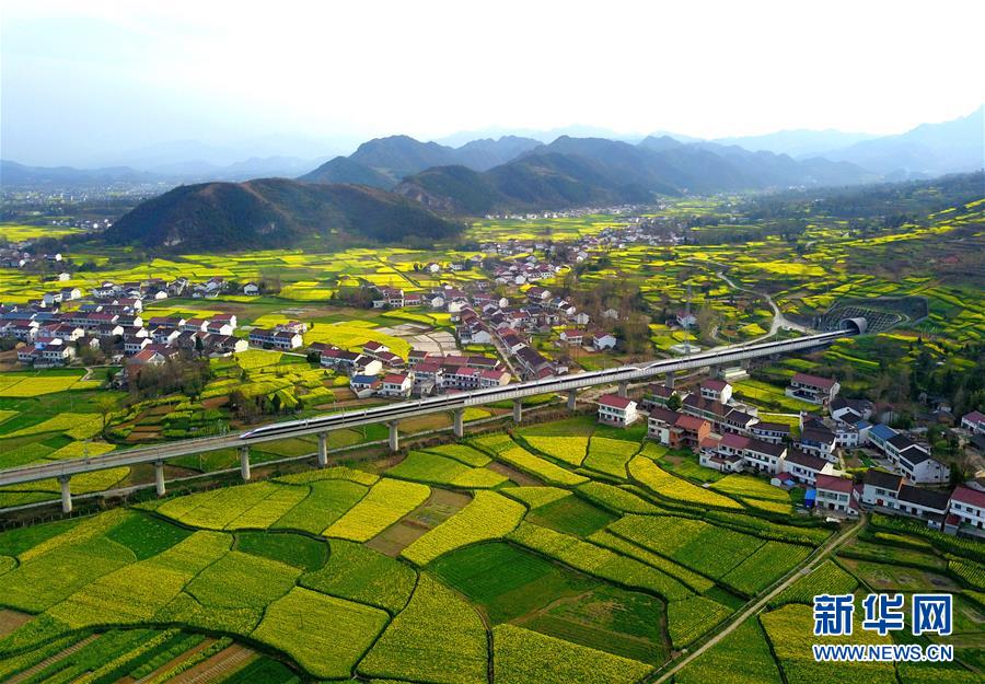 #（春季美丽生态）（1）&ldquo;开往春天&rdquo;的列车