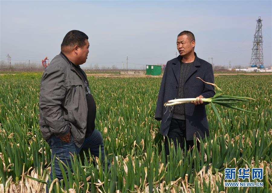 (中国网事·感动2019·图文互动)(1)“独臂支书”李健