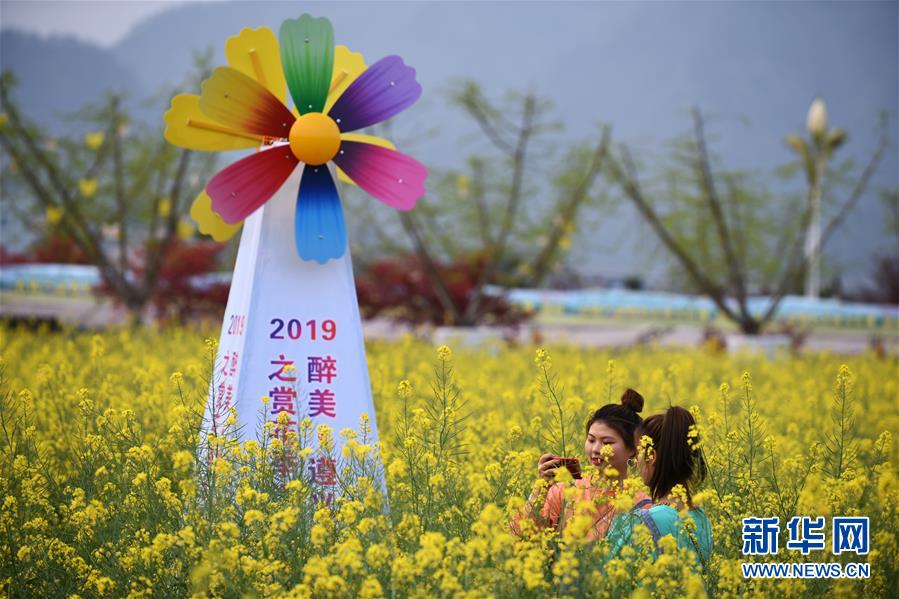 （环境）（2）贵州余庆：&ldquo;花经济&rdquo;带动乡村旅游