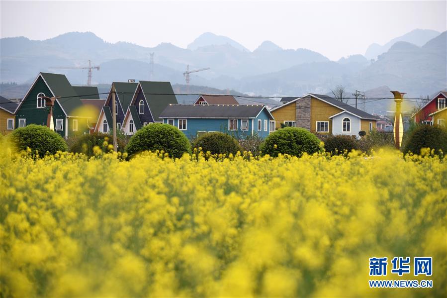 （环境）（3）贵州余庆：&ldquo;花经济&rdquo;带动乡村旅游