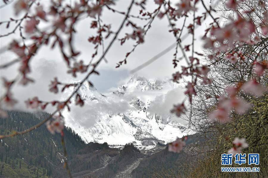 （环境）（2）波密冰川壮美迷人
