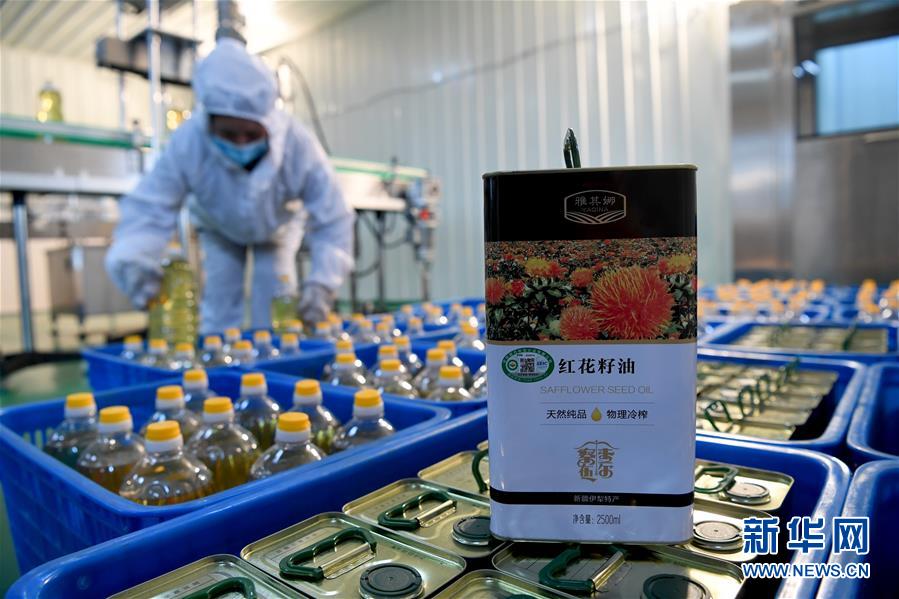 （经济）（3）新疆察布查尔大力发展红花产业