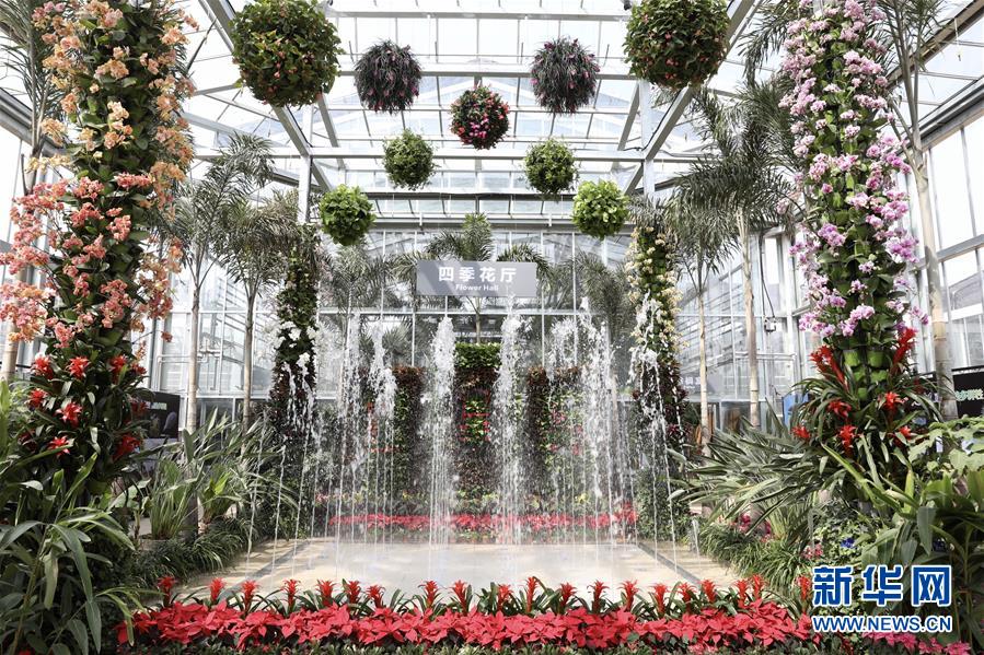 （科技）（2）北京最“年長”植物溫室重新開放