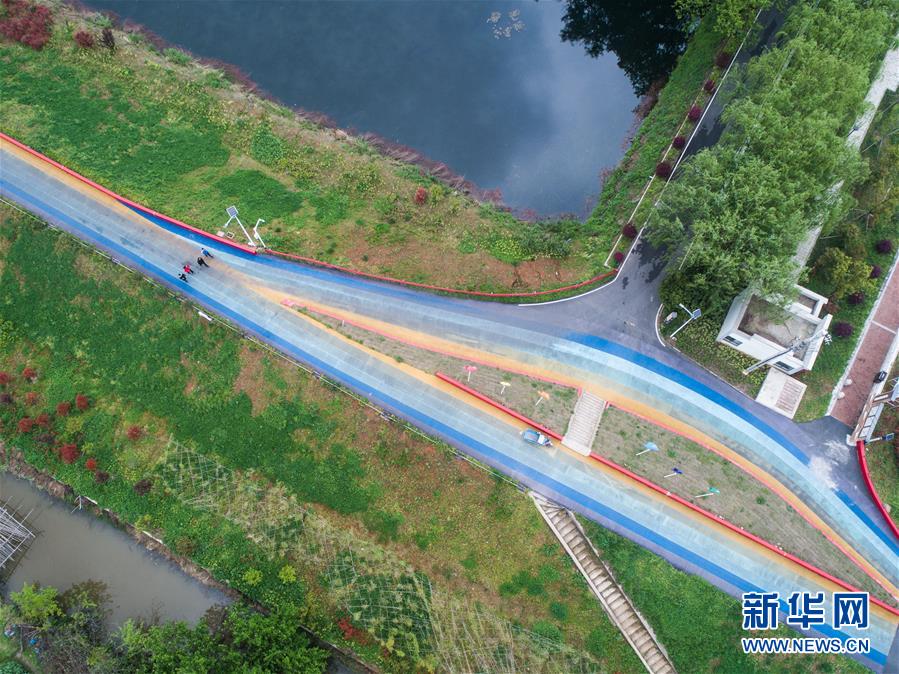 （社会）（2）美丽乡村打造特色绿道