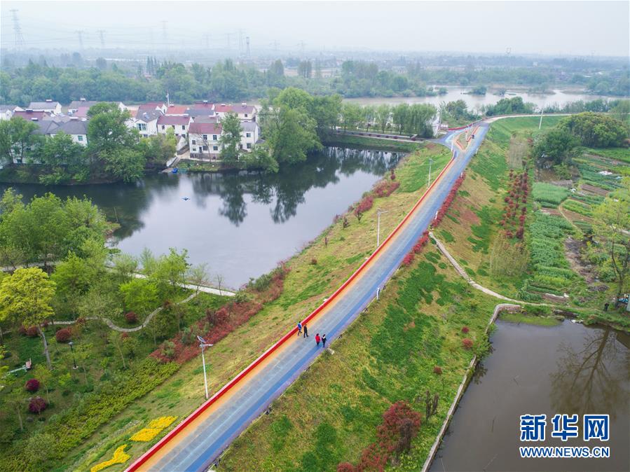 （社会）（3）美丽乡村打造特色绿道