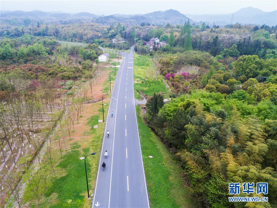 （社会）（4）美丽乡村打造特色绿道