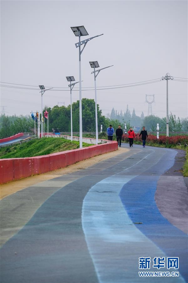 （社会）（6）美丽乡村打造特色绿道