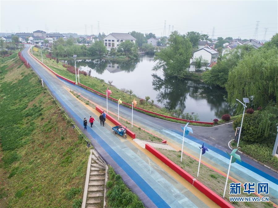 （社会）（7）美丽乡村打造特色绿道