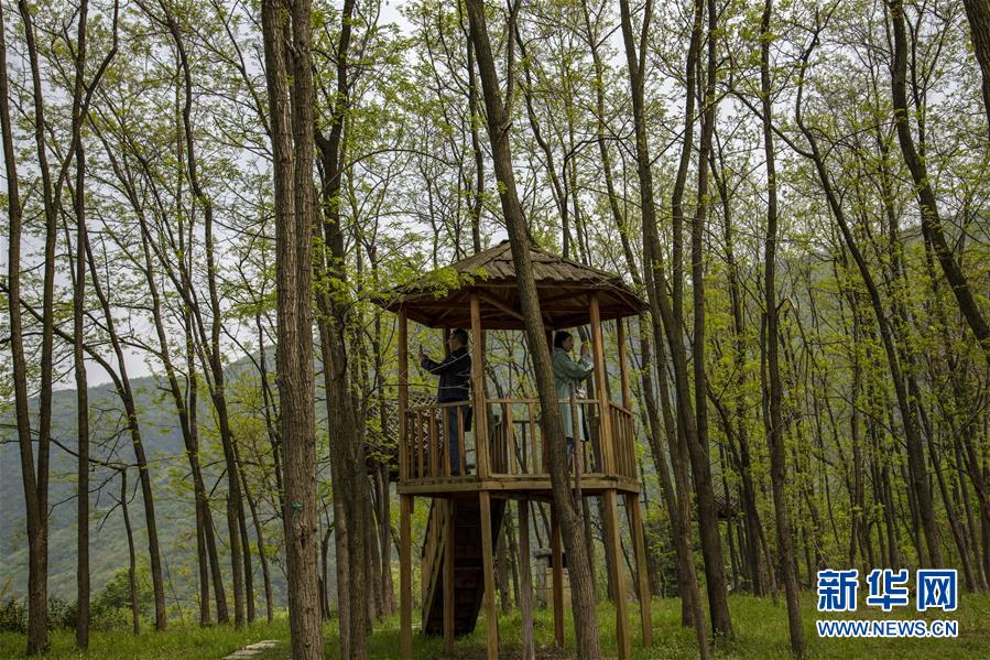 （社会）（6）湖北远安：贫困村变身休闲民宿旅游村