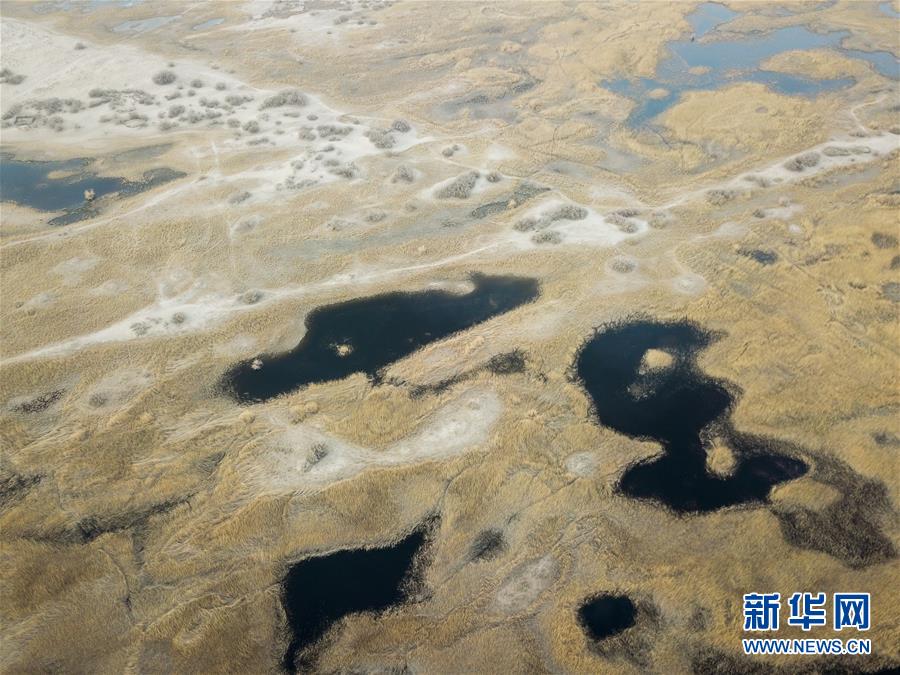 （圖文互動）（1）海子裏的牧羊人見證中國最長內陸河生態變遷