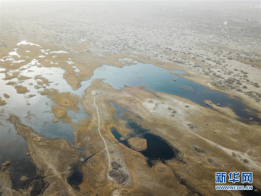（圖文互動）（4）海子裏的牧羊人見證中國最長內陸河生態變遷