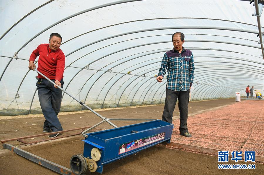 （壮丽70年&middot;奋斗新时代&middot;图文互动）（9）情同一家，守望相助，共奔小康&mdash;&mdash;内蒙古兴安盟巴彦敖包嘎查民族团结见闻