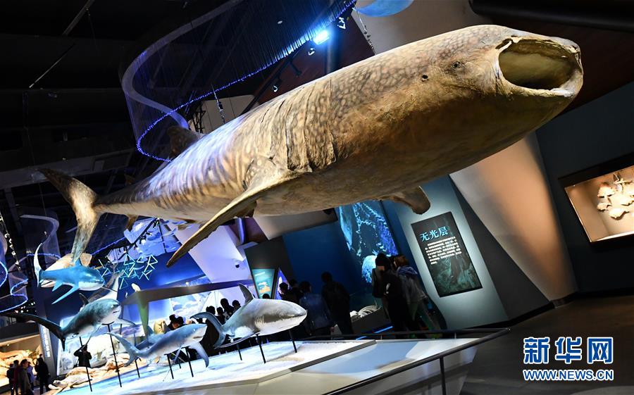 (社会)(6)国家海洋博物馆5月1日试运行