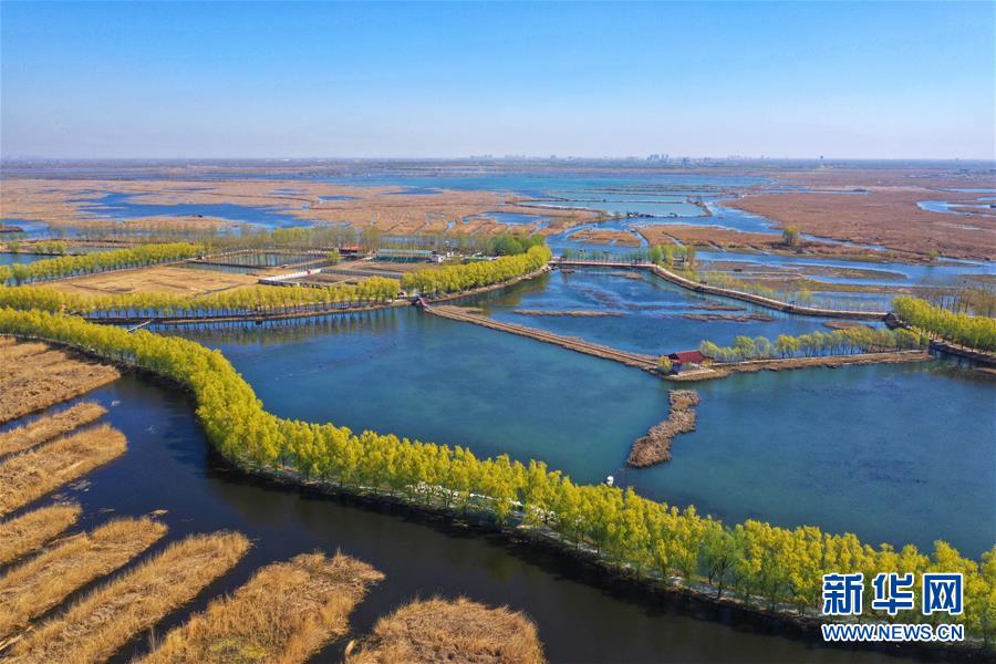 （空中瞰祖国）（2）春满大地