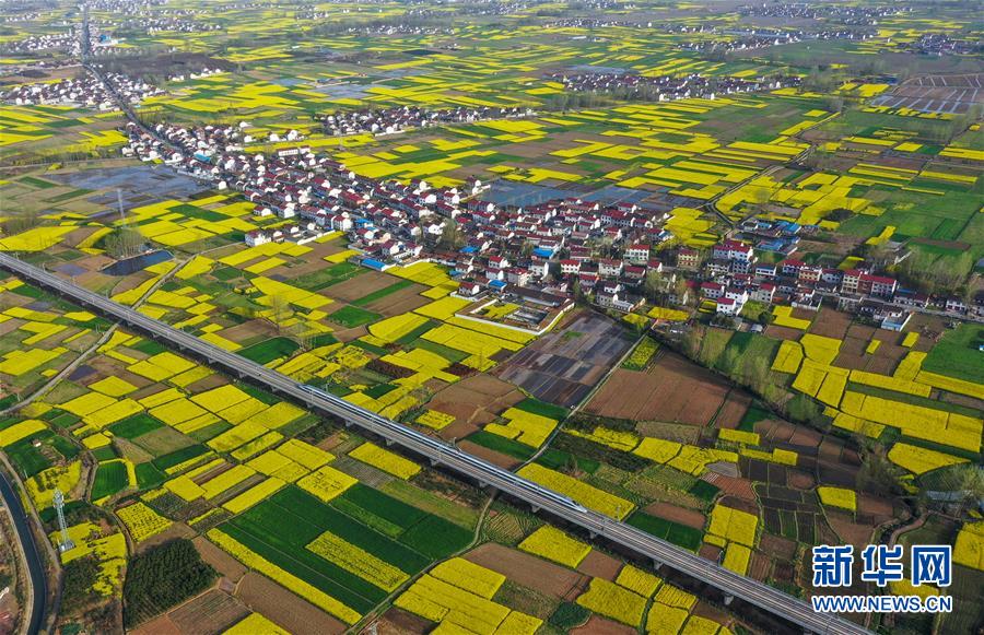 （空中瞰祖国）（11）春满大地