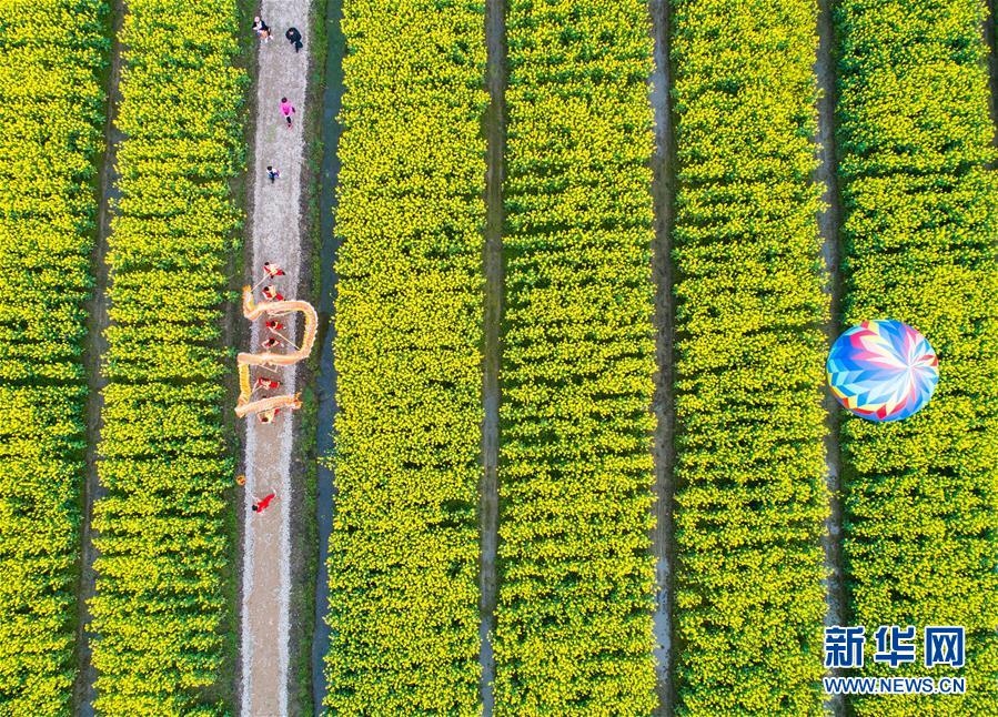 （空中瞰祖国）（12）春满大地